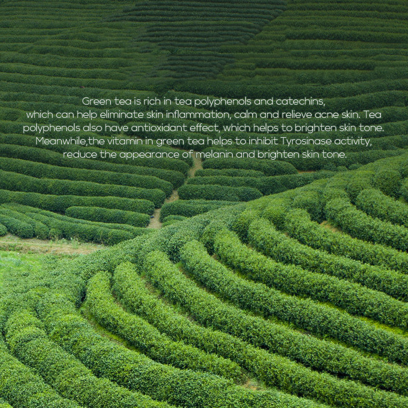 Green Tea Skin Care Toner